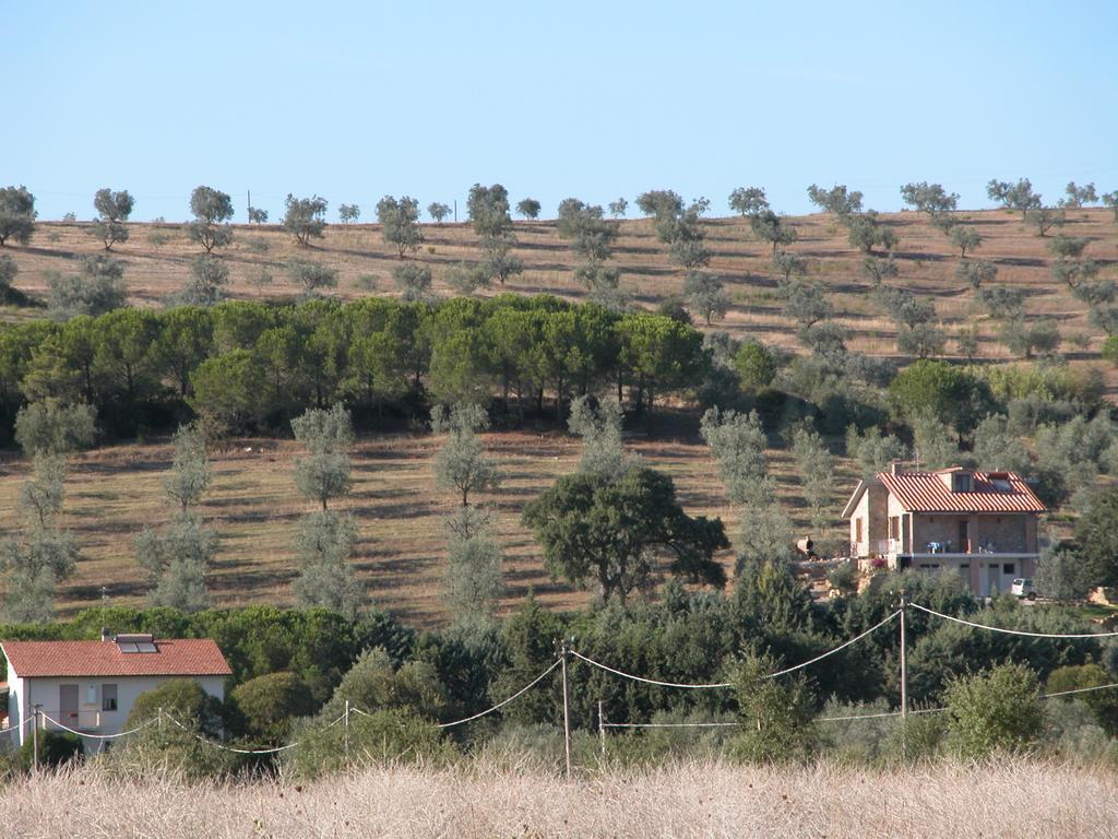 Agriturismo San Lino-Gilberto Massa Marittima Extérieur photo