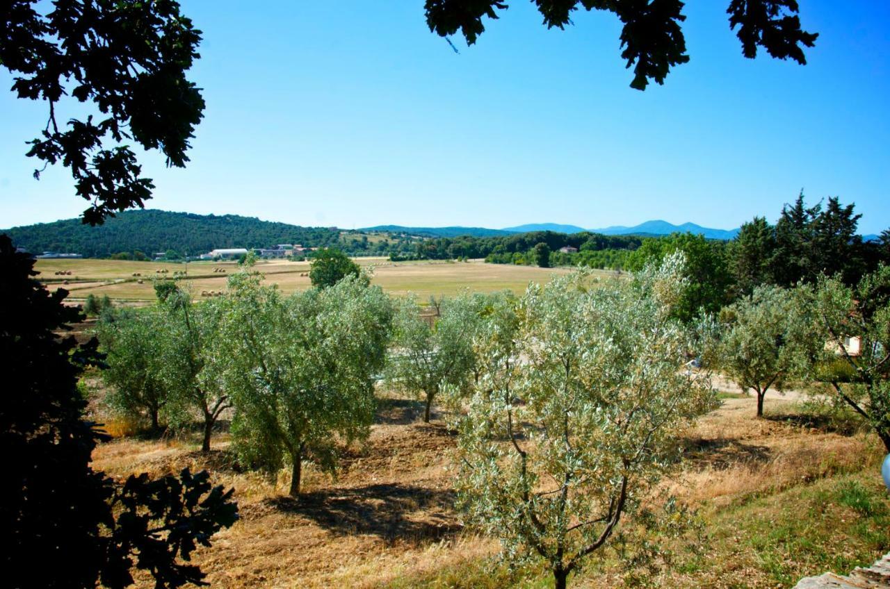 Agriturismo San Lino-Gilberto Massa Marittima Extérieur photo