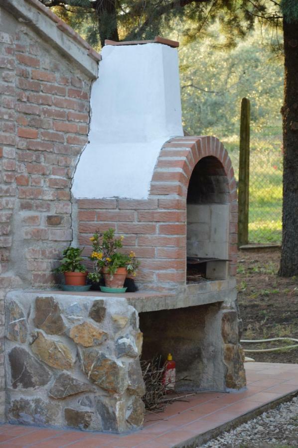 Agriturismo San Lino-Gilberto Massa Marittima Extérieur photo